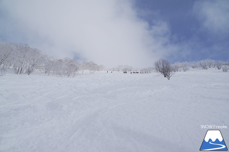 児玉毅×山木匡浩 b.c.map POWDER HUNTING in NISEKO 2018！